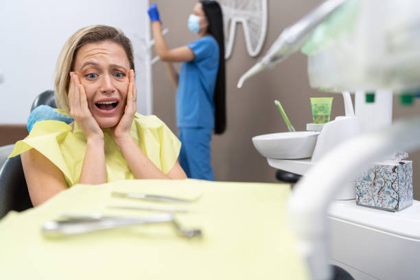 Best Broken or Chipped Tooth Repair in Redington Shores, FL